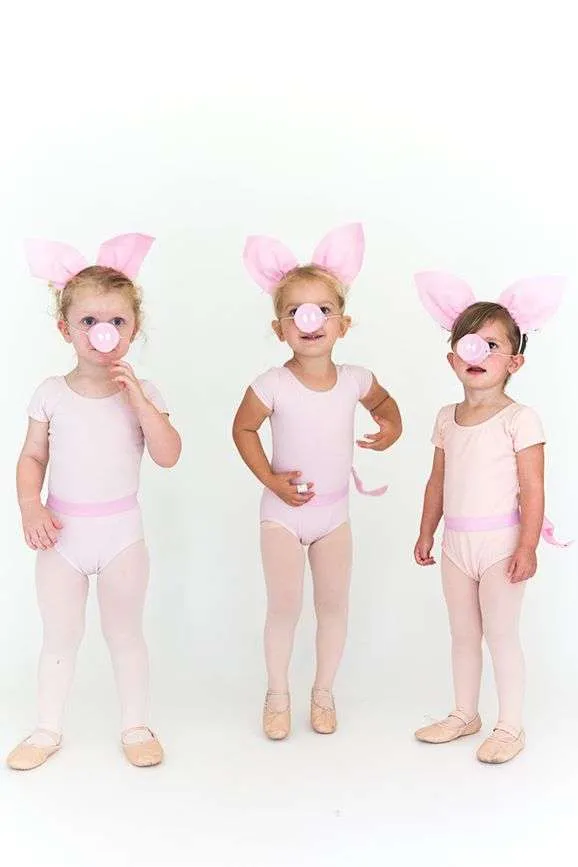 3 little pigs Halloween costumes for sisters