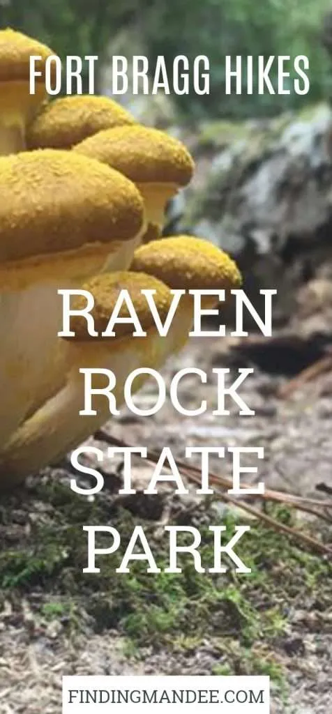 Our Hike at Raven Rock State Park | Finding Mandee | Fort Bragg Hikes