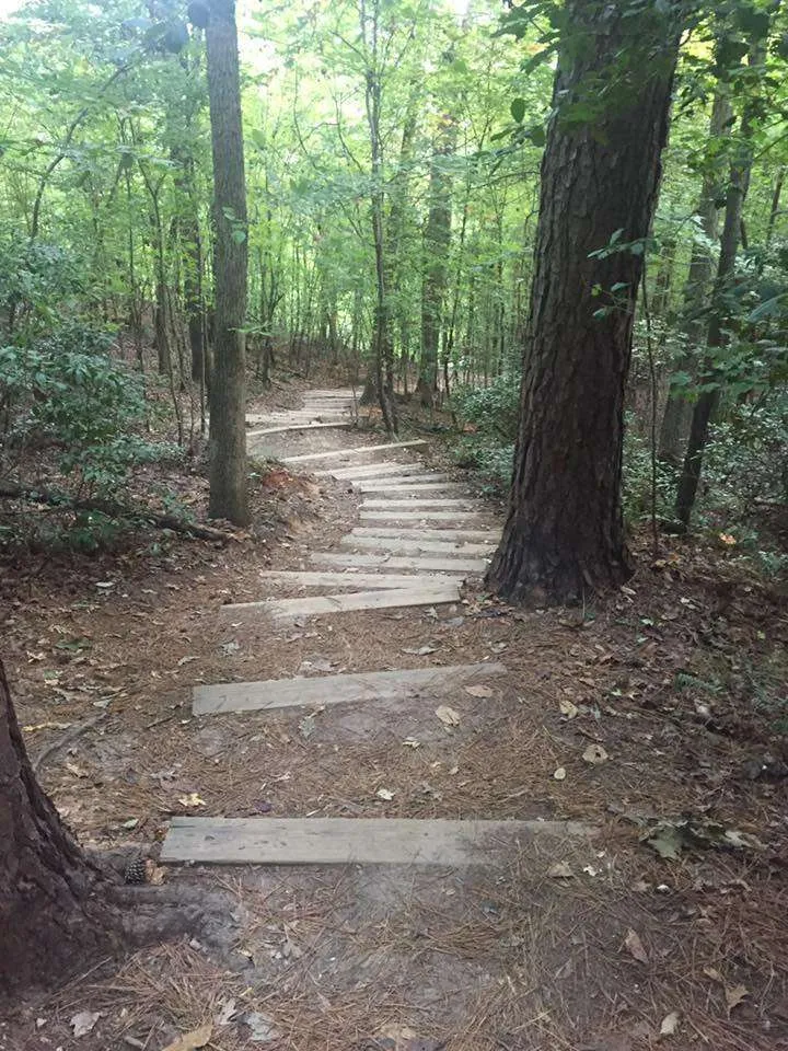Forest stairs in Raven Rock State Park in North Carolina