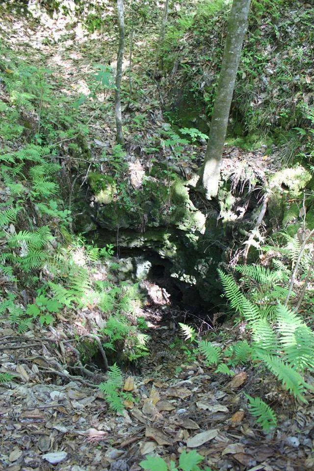 sinkhole at Falling Waters State Park in North Florida