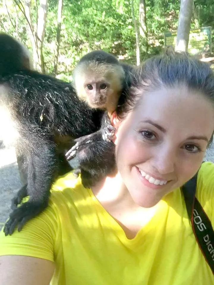 things to do in Roatan hold the monkeys in Gumbalimba Park
