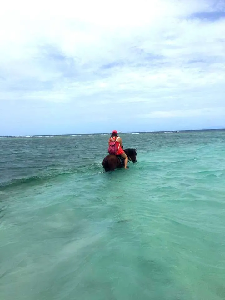things to do in Roatan horseback riding on the beach