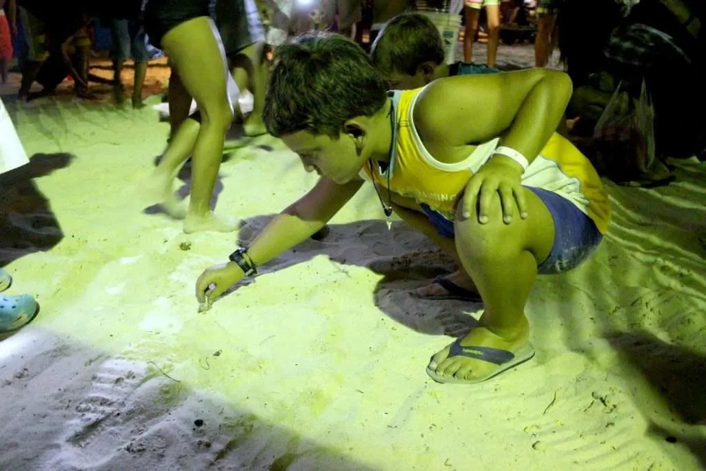 things to do in Roatan crab races