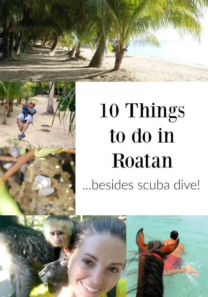 things to do in Roatan Honduras