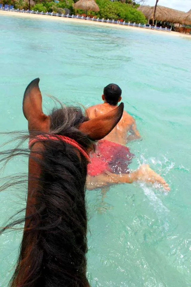things to do in Roatan horseback riding on the beach