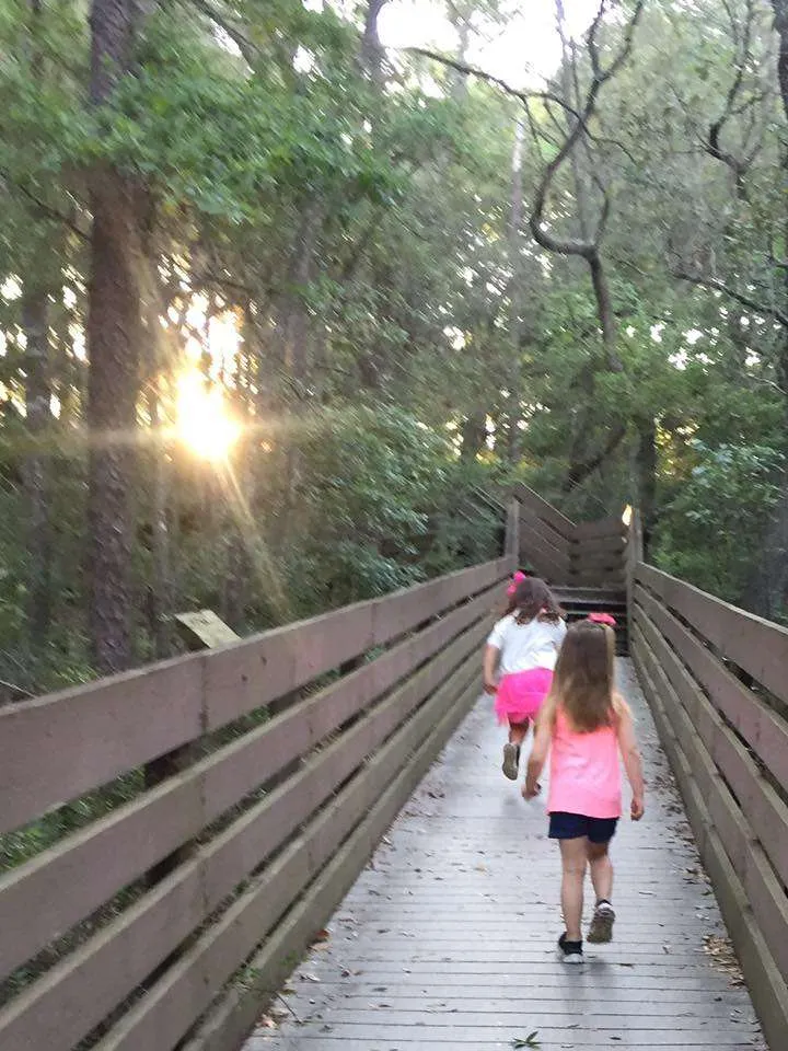 go for a walk at Bay Bluffs Park in Pensacola, Florida