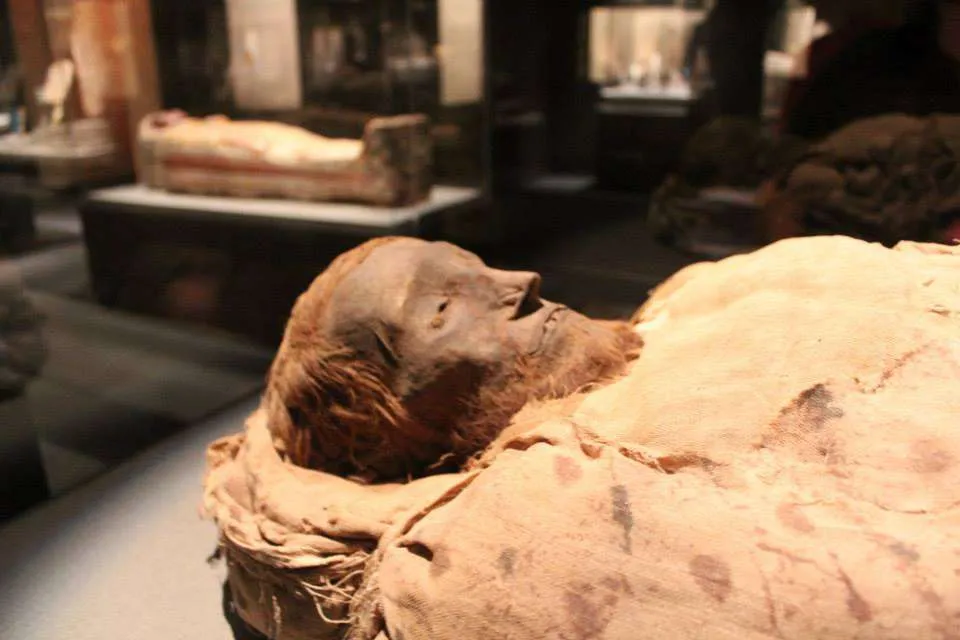 mummy at the museum of natural history in Houston, TX