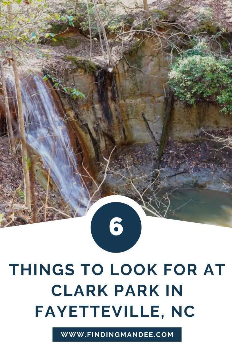 6 Things to Look for at Clark Park in Fayetteville, NC | Finding Mandee