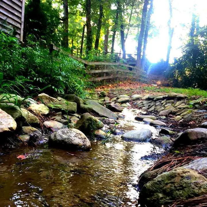 Beautiful stream at Gillis Hill Farm in Fayetteville, North Carolina.