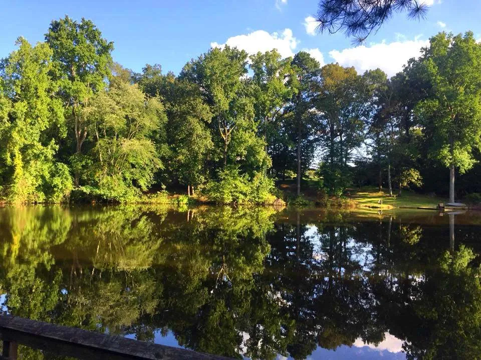 the grist mill pond at Gillis Hill Farm in Fayetteville, NC