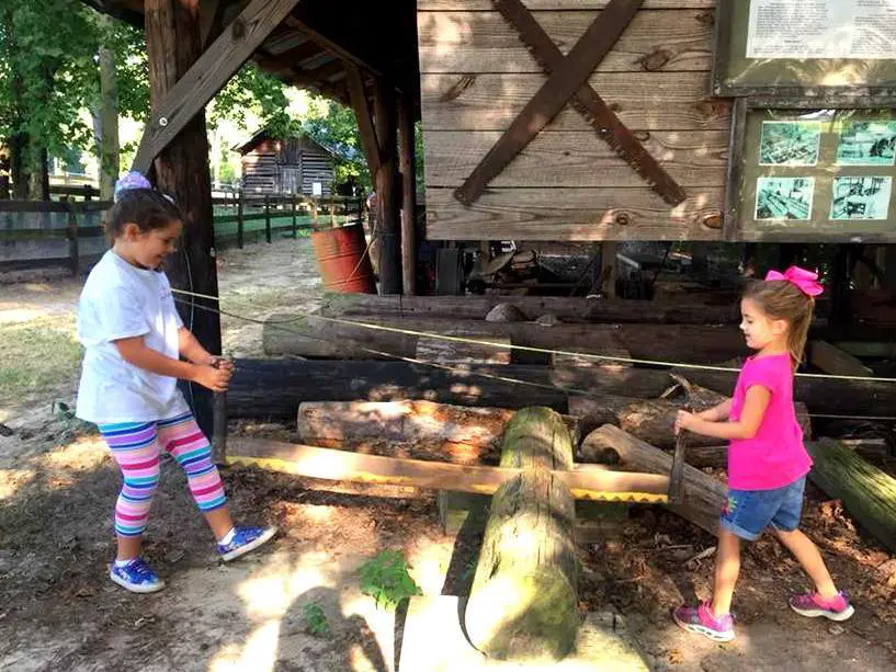 Things to do in Fayetteville: Go to Gillis Hill Farm.