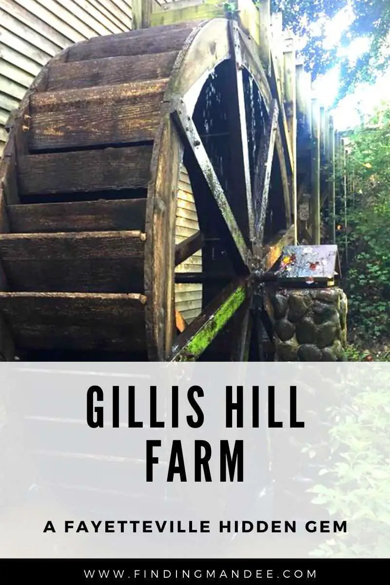 Gillis Hill Farm: A Fayetteville Gem | Finding Mandee