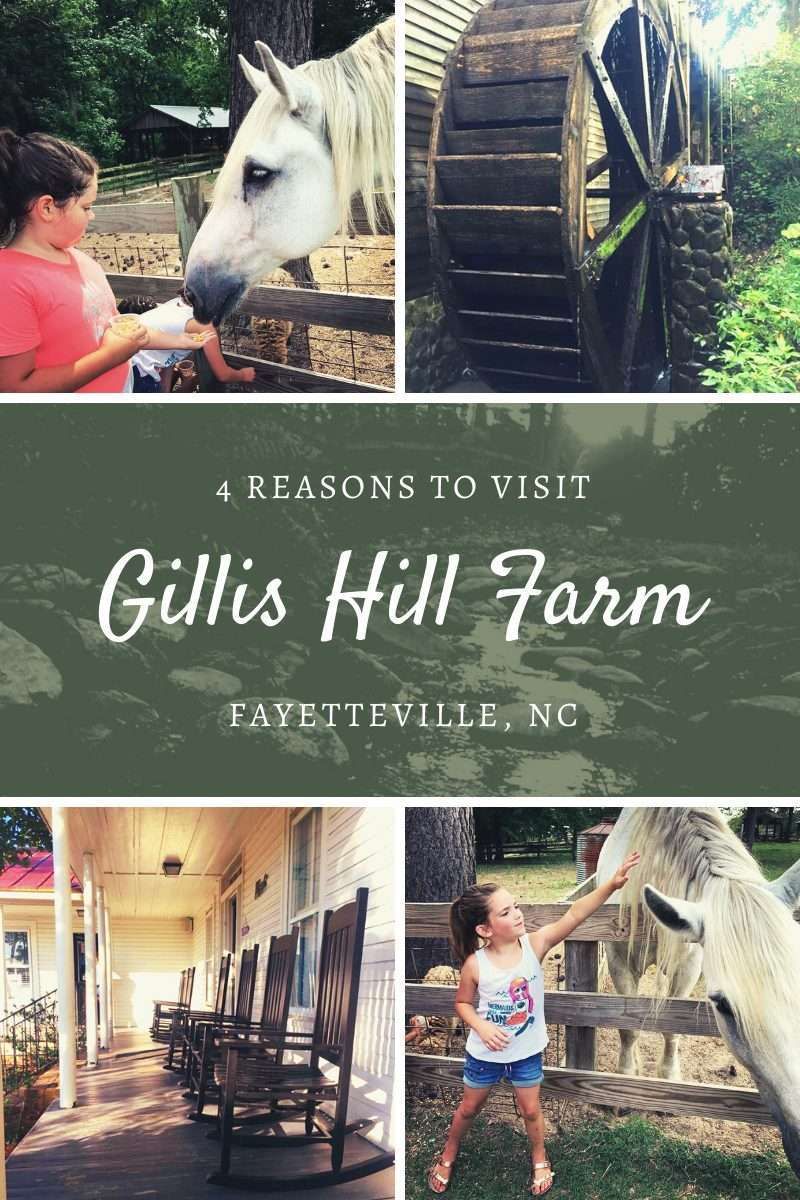 4 Reasons to Visit Gillis Hill Farm in Fayetteville, NC | Finding Mandee