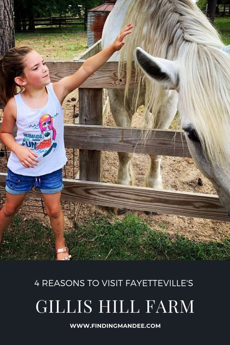 4 Reasons to Visit Fayetteville's Gillis Hill Farm | Finding Mandee