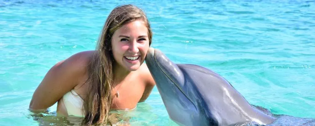 Things I Had Done in Roatan: Swim with Dolphins
