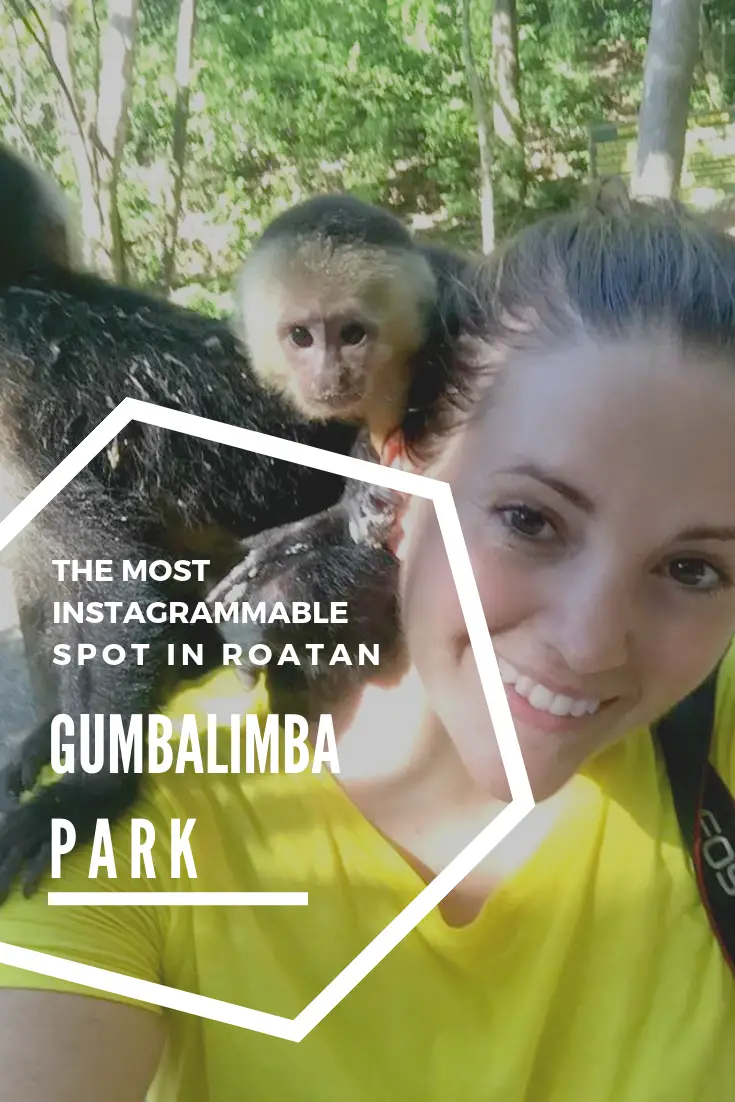 The Most Instagrammable Spot in Roatan: Gumbalimba Park