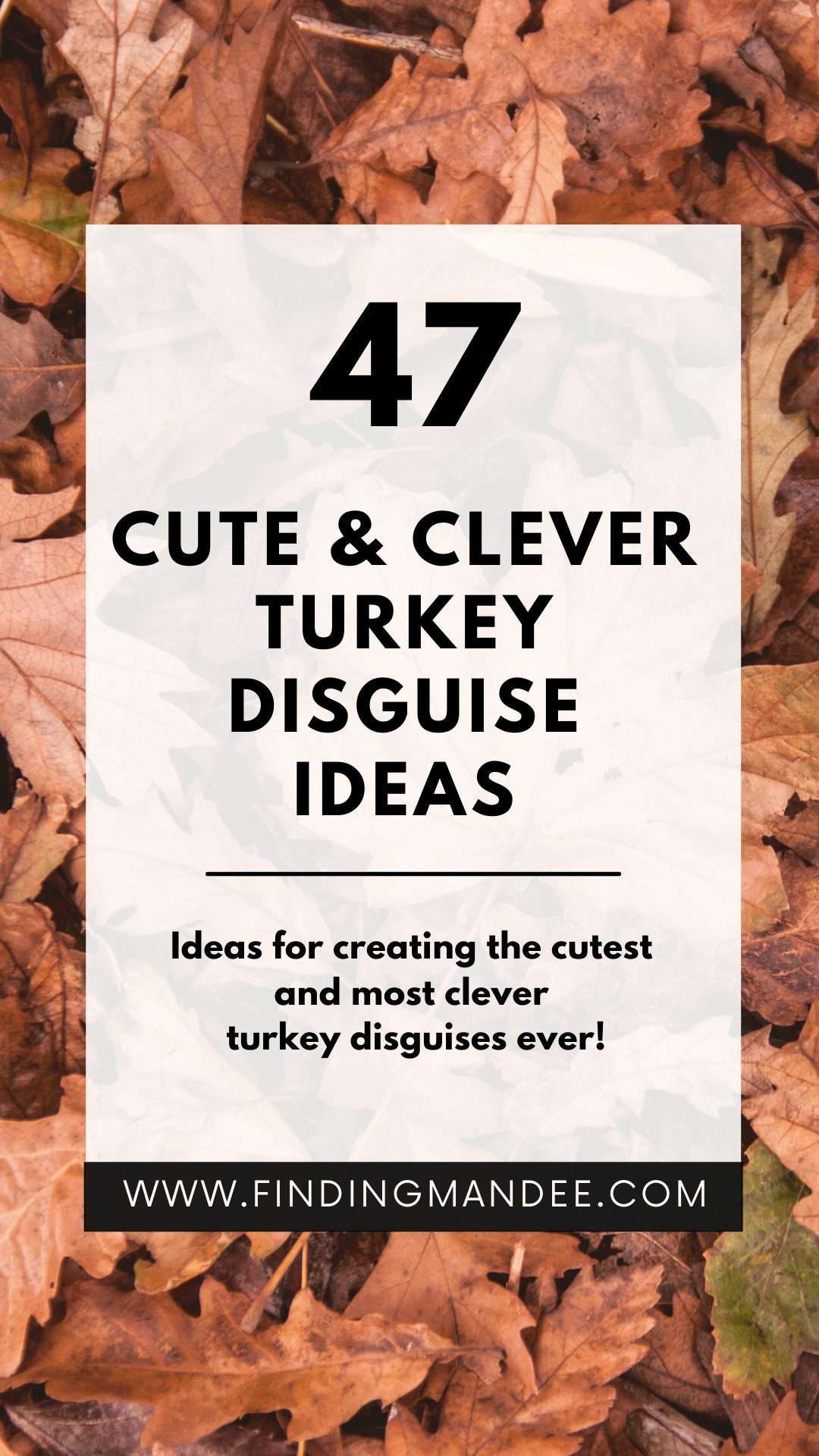 47 Cute and Clever Turkey Disguise Ideas | Finding Mandee