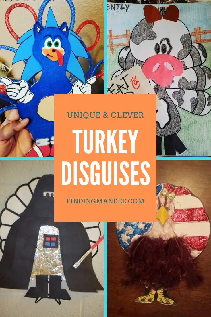 47 Unique and Clever Turkey Disguises