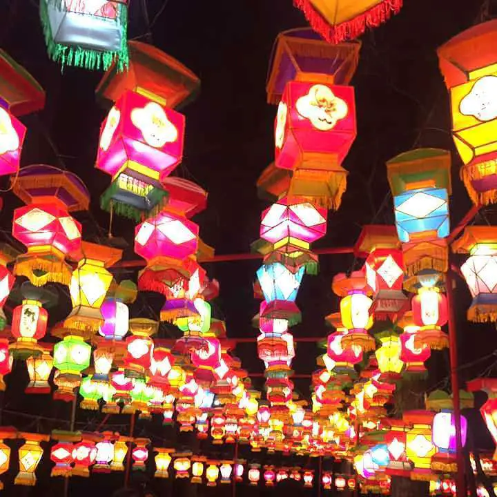 Weird Things to do in North Carolina: go to the Chinese lantern festival