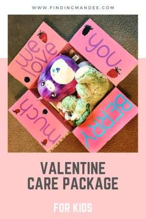 How to Make a Valentine's Day Care Package for Kids | Finding Mandee