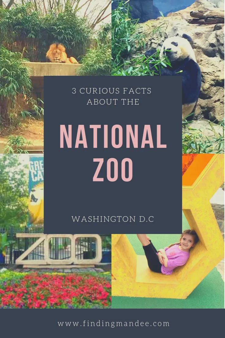 3 Fun Facts About the National Zoo | Finding Mandee