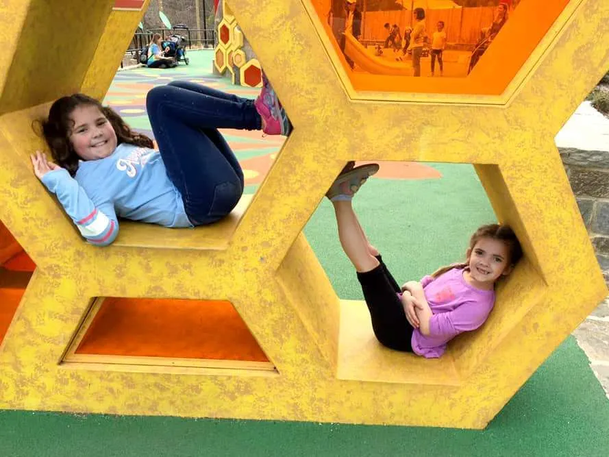 Kids playing on the honey bee inspired playground at the zoo. 
