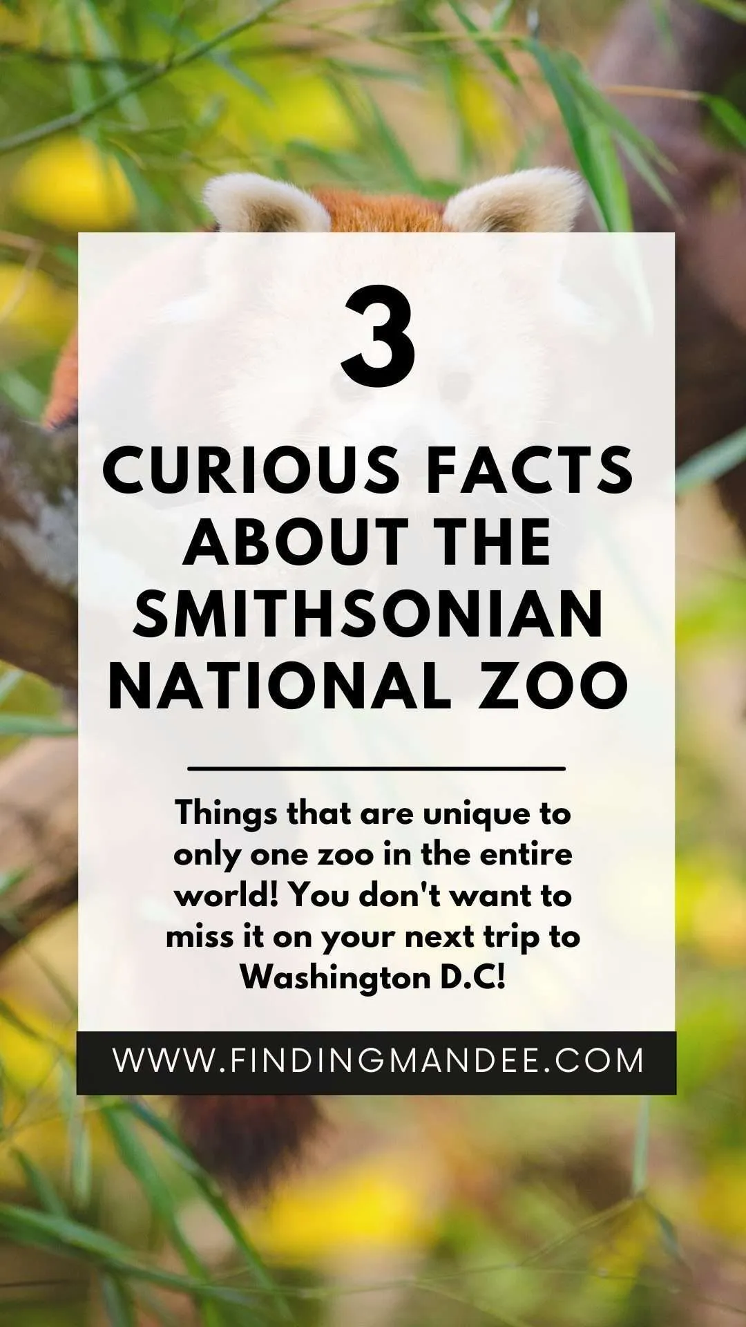 3 Curious Facts About the Smithsonian National Zoo | Finding Mandee