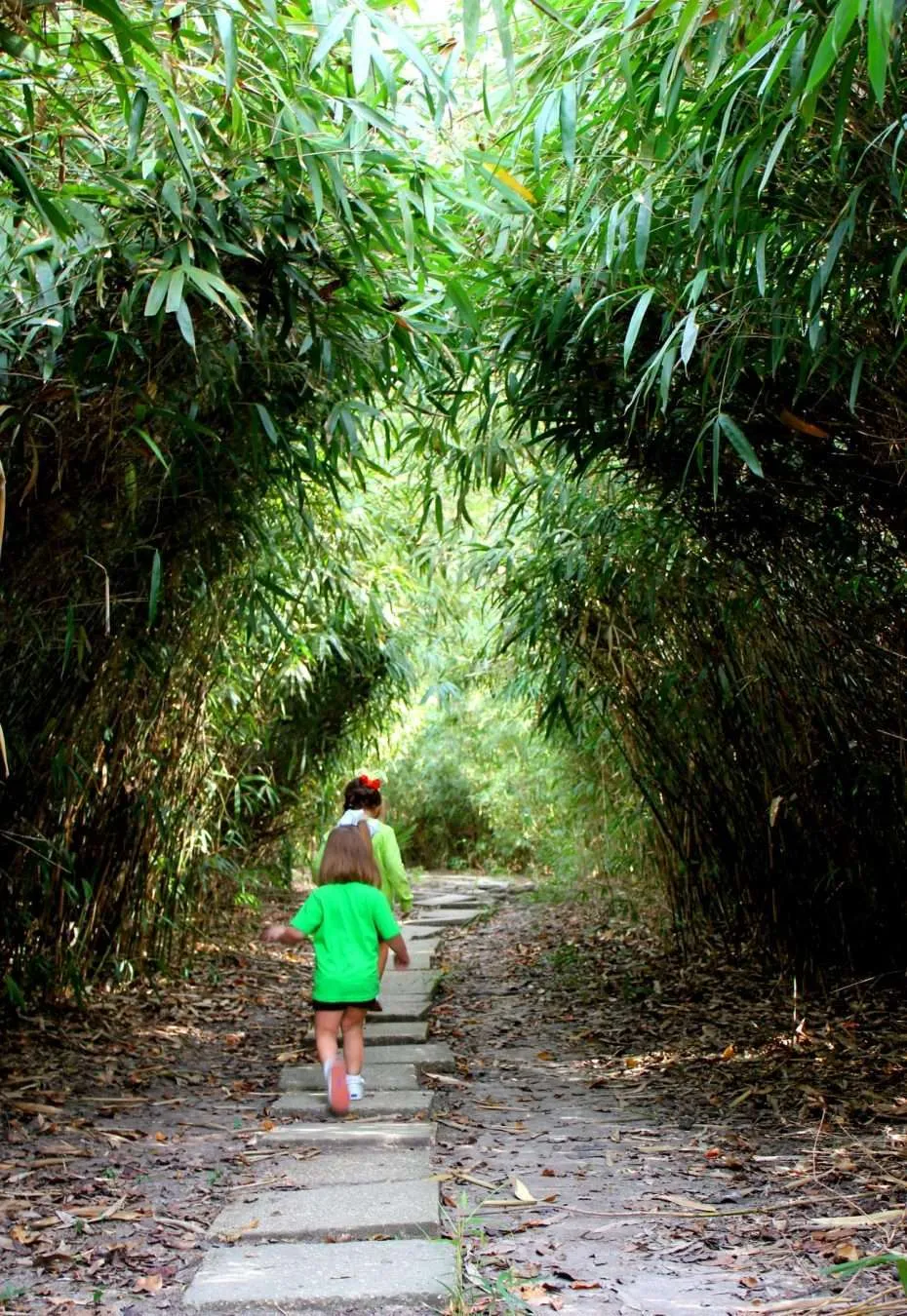 The kids running through the bamboo 'forest' at Jungle Gardens.
