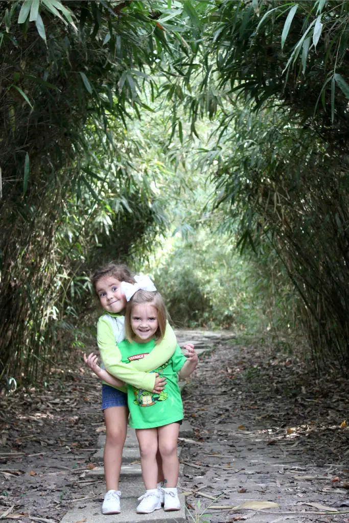 In the bamboo thicket at Jungle Gardens.