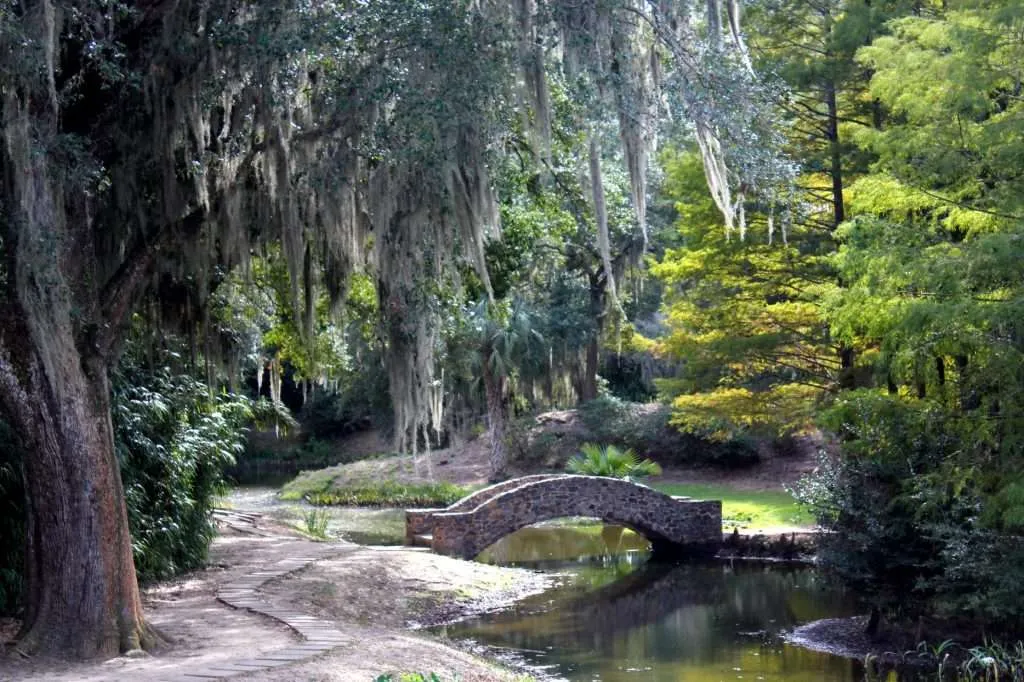 The stone bridge at Jungle Gardens in Louisiana.
