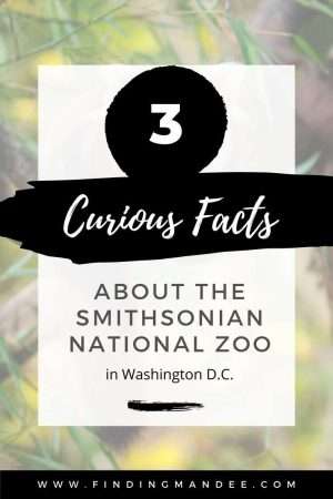 3 Curious Facts About the Smithsonian National Zoo in Washington D.C. | Finding Mandee