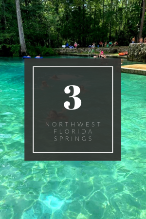 3 Beautiful Natural Springs in Northwest Florida | Finding Mandee