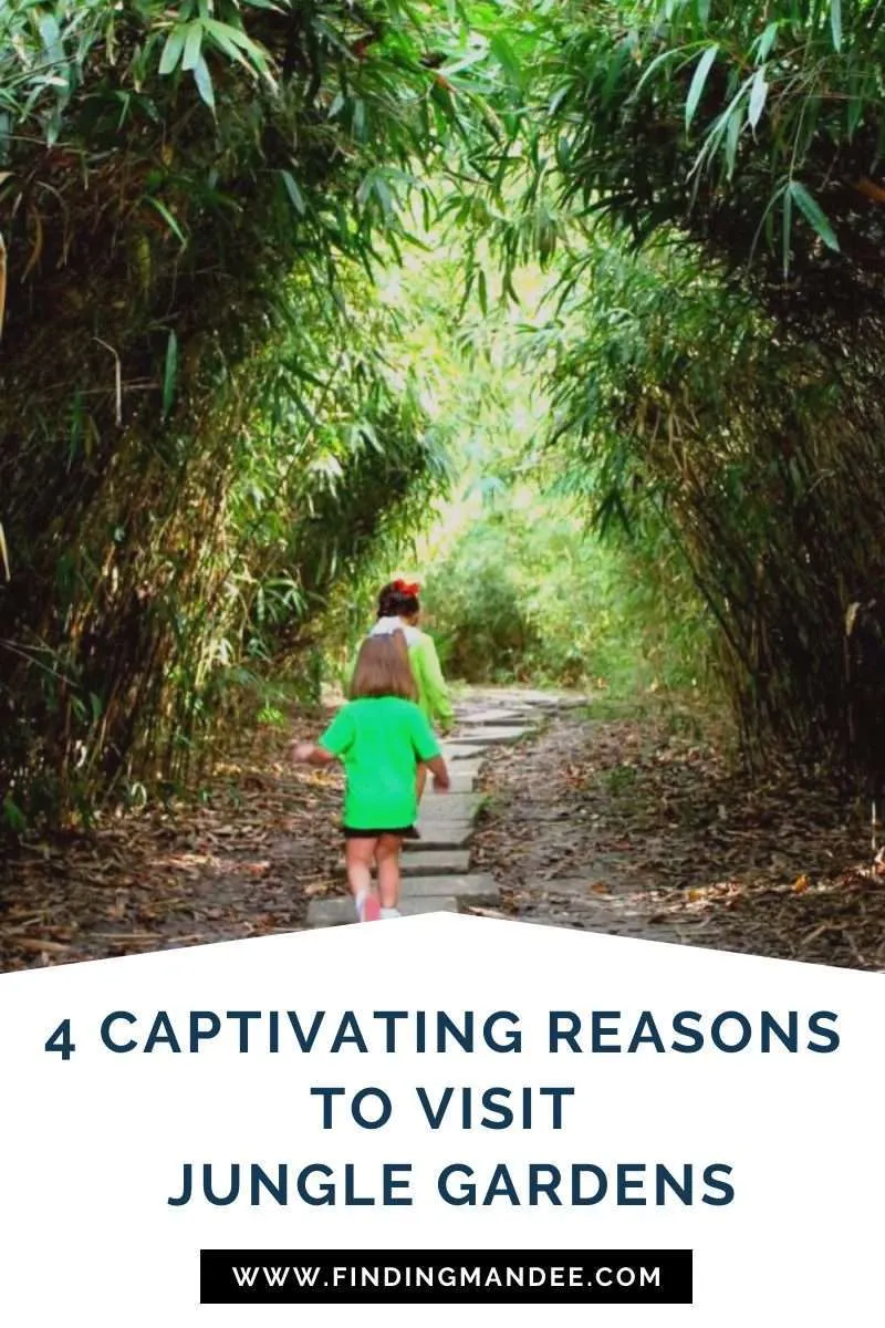 4 Captivating Reasons to Visit Jungle Gardens on Avery Island, LA | Finding Mandee