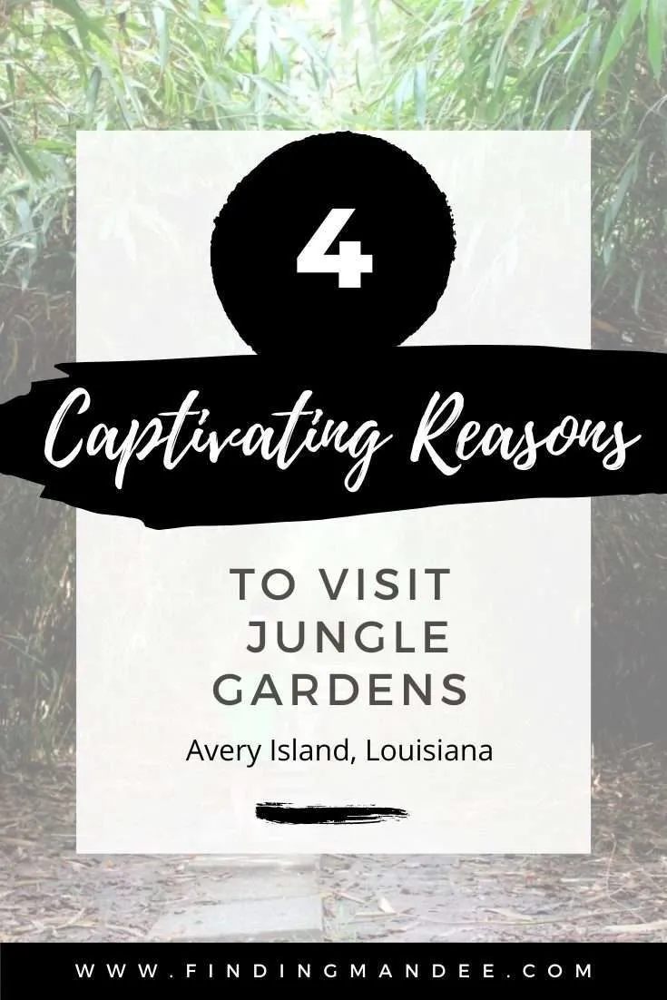 4 Captivating Reasons to Visit Jungle Gardens | Finding Mandee