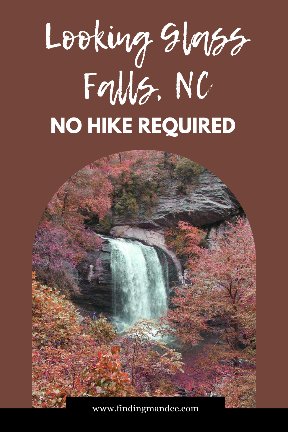 Looking Glass Falls: No Hike Required | Finding Mandee