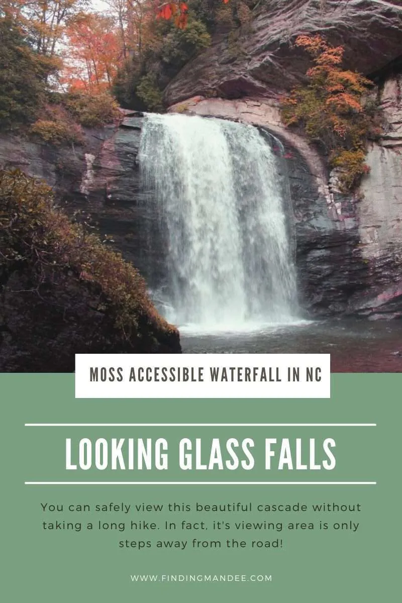 The Most Accessible Waterfall in North Carolina: Looking Glass Falls | Finding Mandee