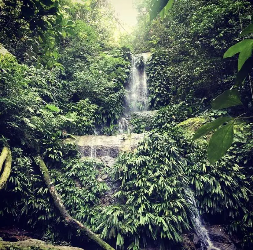 Waterfall at Pico Bonito National Park in Honduras.