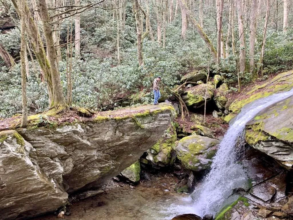 Things to do in Sugar Mountain: Take a hike to see Otter Falls.