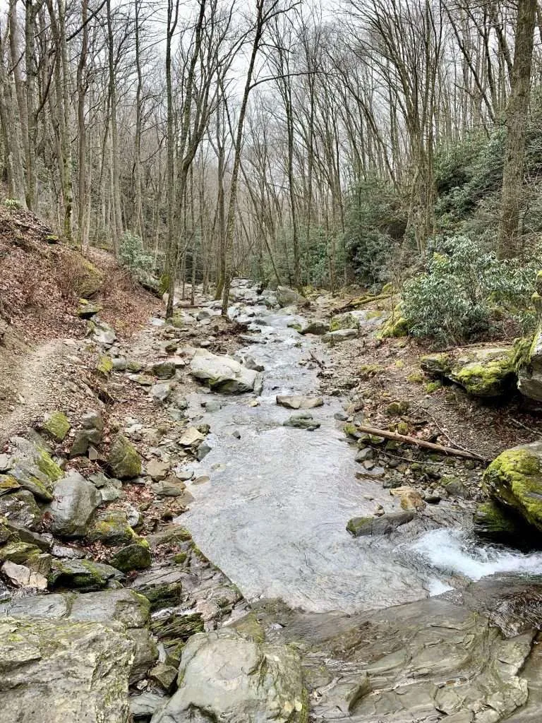 Valley Creek near Sugar Mountain, NC.