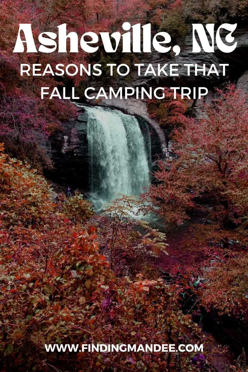 Asheville, NC: Reasons to Take that Fall Camping Trip | Finding Mandee