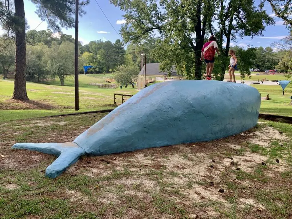 The whale at Rowan Park.