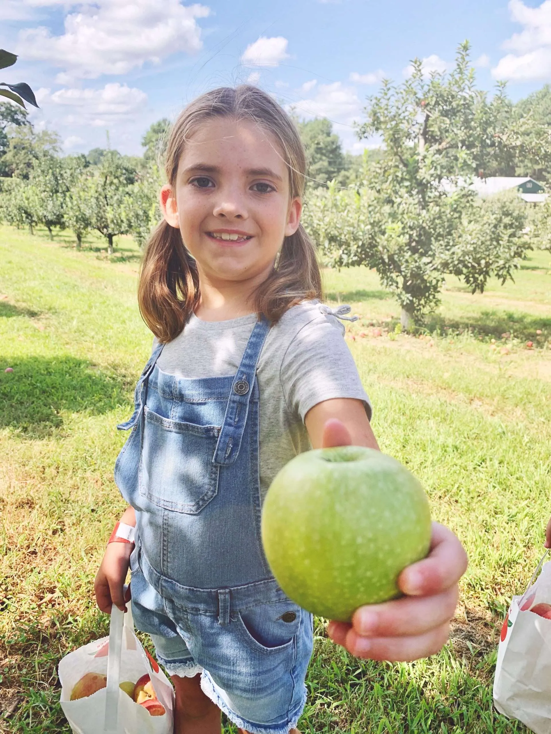 Picking apples near Fort Bragg, North Carolina.
