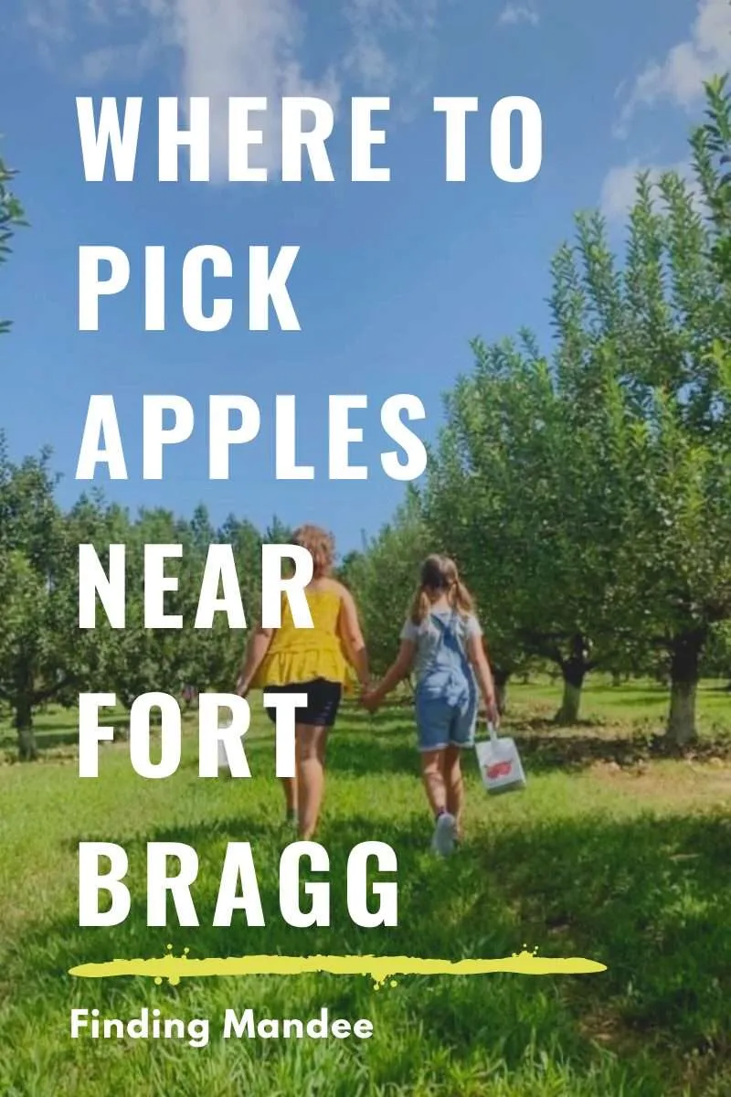Apple Orchards Near Fort Liberty, North Carolina | Finding Mandee