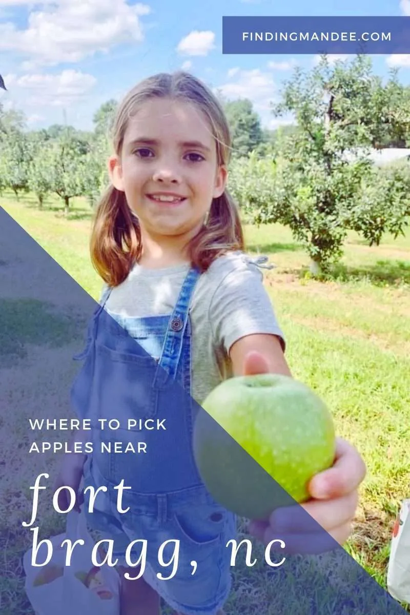 Apple Orchards Near Fort Liberty | Finding Mandee