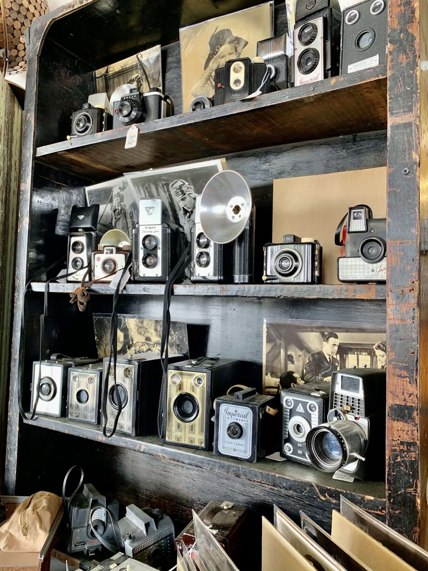 Vintage cameras for sale at the Round Top Antique Show.