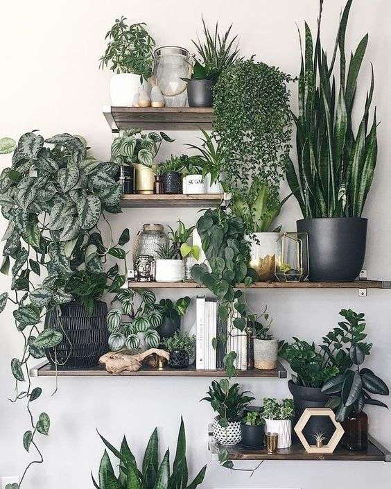 Plant shelves are perfect to decorate base housing.