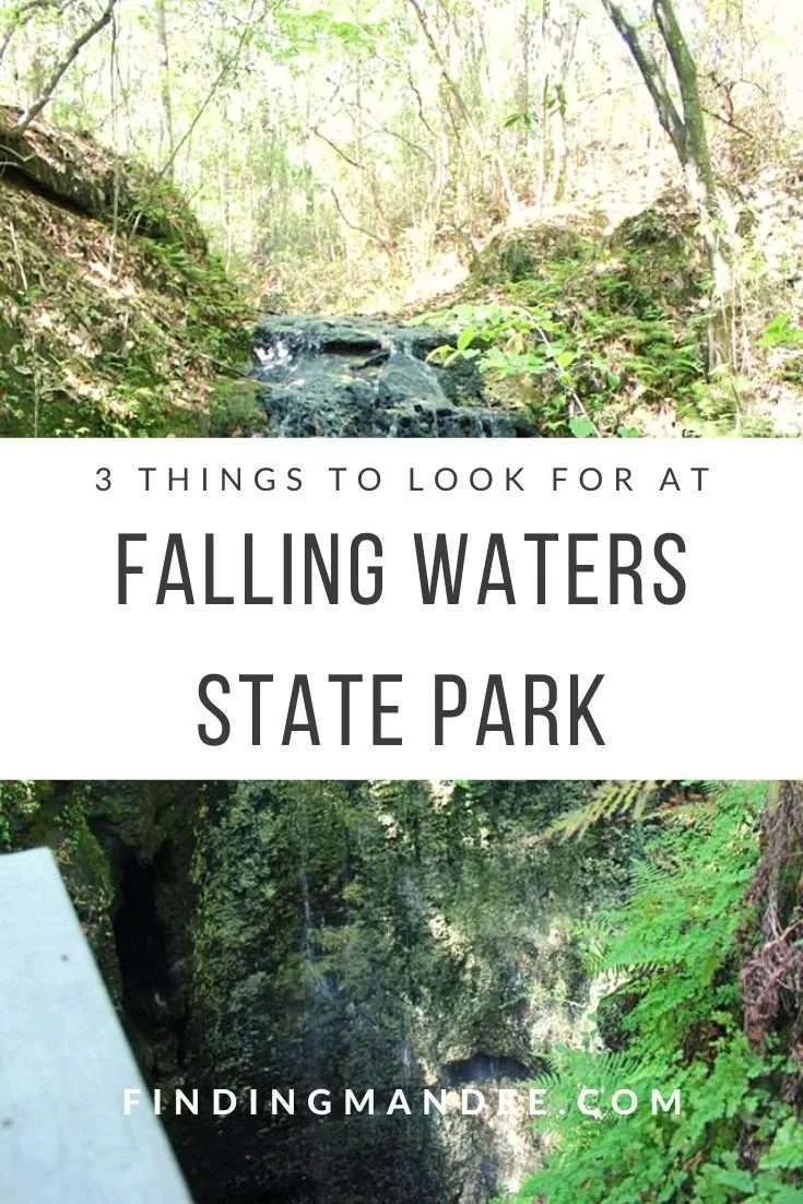 3 Things to Look For at Falling Waters State Park | Finding Mandee