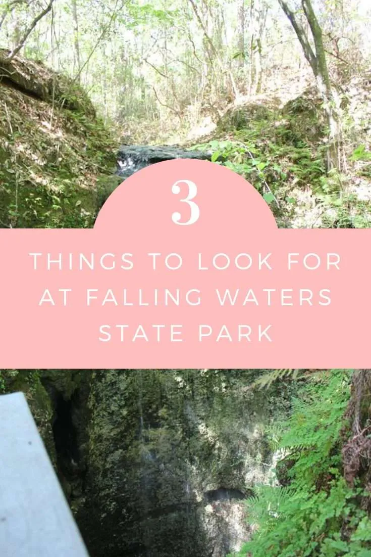 3 Things to Look for at Falling Waters State Park | Finding Mandee