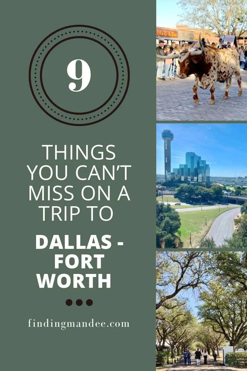9 Things You Can't Miss on Your Trip to Dallas-Fort Worth | Finding Mandee