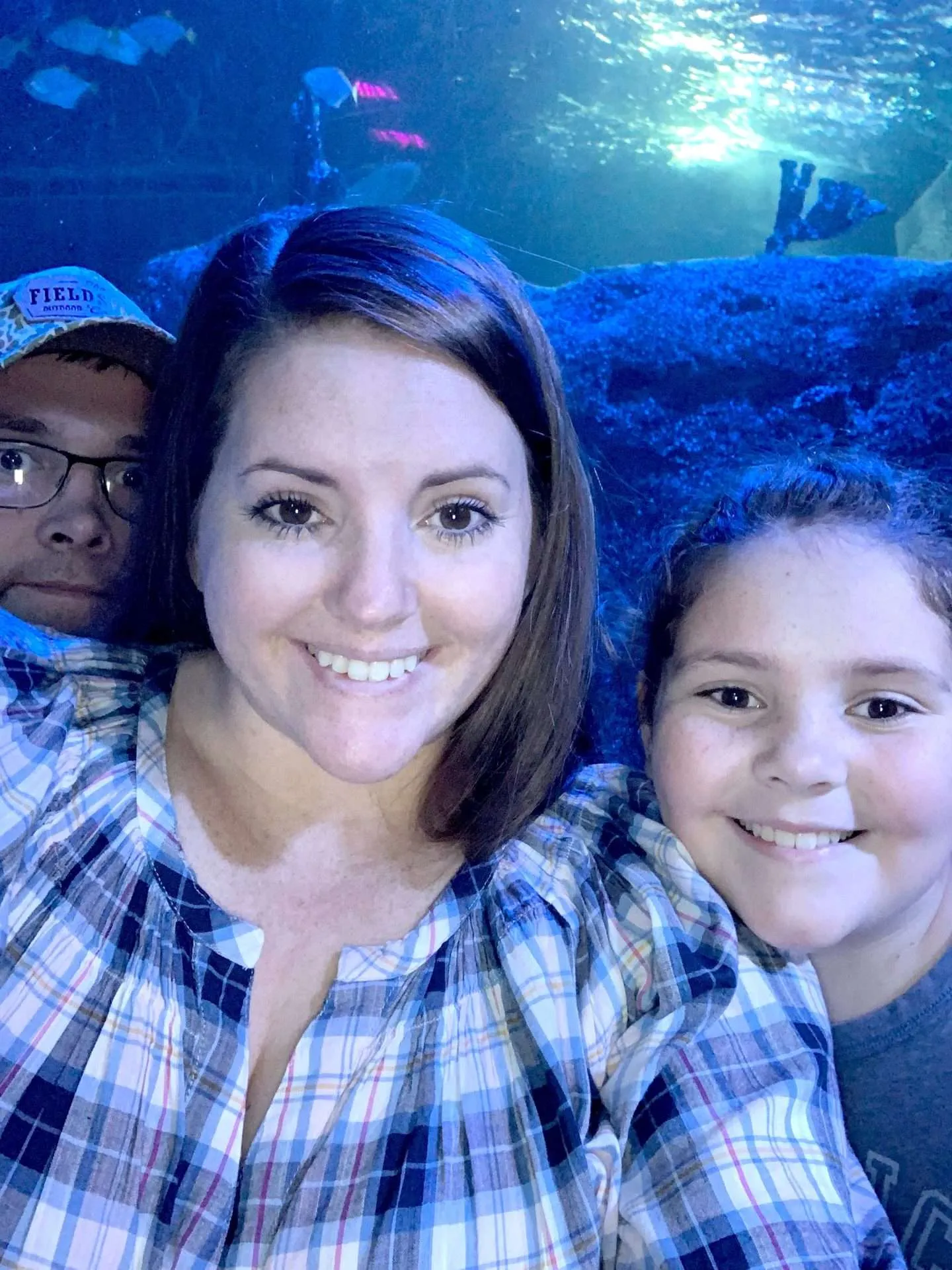 Things to do in Dallas-Fort Worth with kids: go to the Sea Life Aquarium.